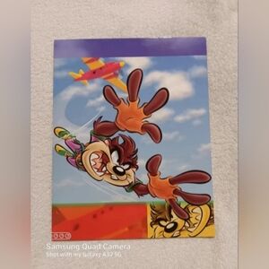Vintage Looney tunes skydiving taz 2 pockets folder
